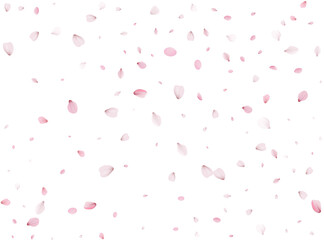 Flying Spring Sakura.