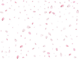 Flying Spring Sakura.