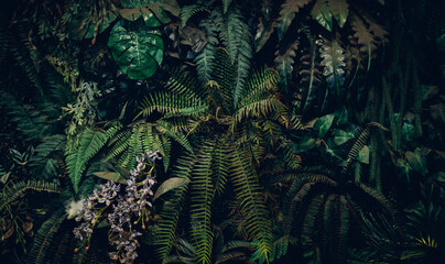 Close up group of background tropical green leaves texture and abstract background. Tropical leaf nature concept.