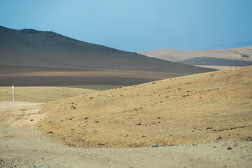 Fototapeta na wymiar Road in Hustai National Park as known Khustain Nuruu National Park, Central Mongolia