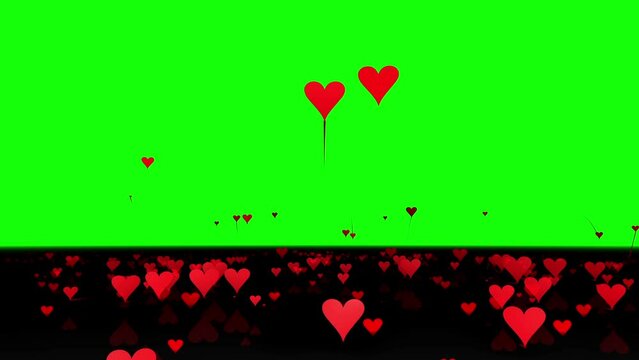 valentine background with hearts green screen