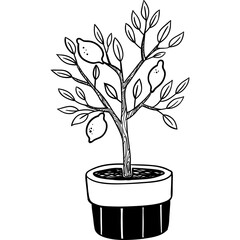 Obraz premium Doodle Outline Potted Lemon Tree
