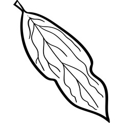 Doodle Outline Leaf