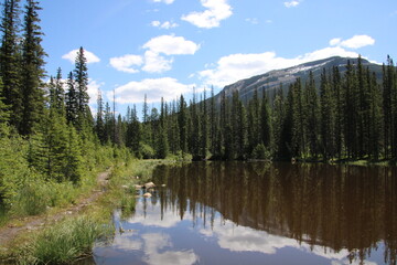 The Beaver Pond, Nordegg, Alberta