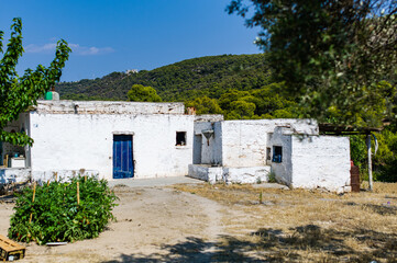 Traditional island white farmer house on the mountain with background Temple of Afaia Aegina Greece