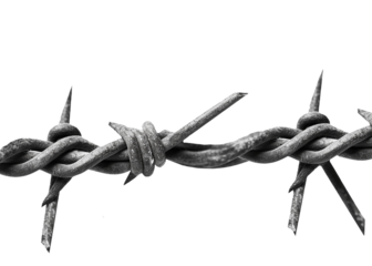 Barbed wire isolated on transparent background