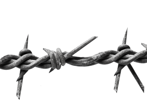 Barbed wire isolated on transparent background