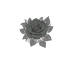 Cartoon rose on an isolated background. Vector illustration