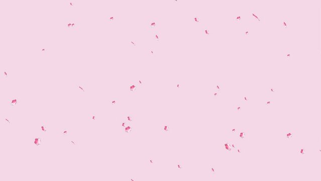 Abstract flower petals falling background and 2d animation, leaves, fall, showering, wind