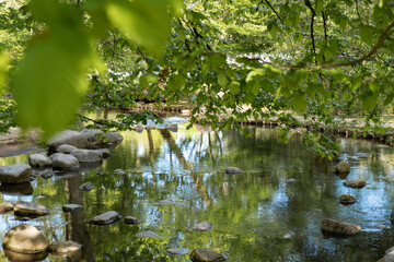 Beautiful spring lake and forest. Nature in spring. Reflection of trees in the water. Abstract natural background. Blurry silhouettes of many green spring trees, leaves reflect on peaceful surface of