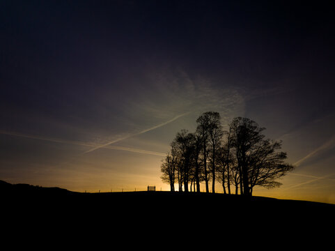 The sun rising over a coppice of trees near Gargrave, Skipton, North Yorkshire, Uk