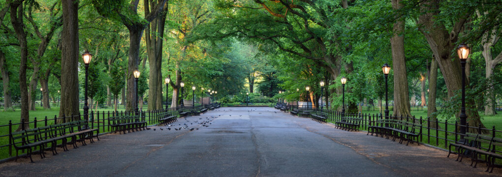 Central Park panorama in summer, New York City, USA