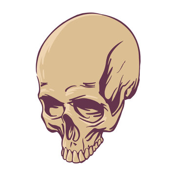 Realistic skull drawn for tattoo, horror design. Symbol of death. Vector illustration