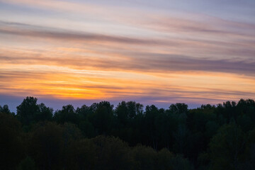 Fototapeta na wymiar Beautiful orange sunset and forest. Nature background