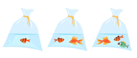 Little brightly colored fish inside plastic bag of water. Pets transportation. Aquatic animal. Goldfish floating in cellophane pouch aqua. Veterinary container. Vector aquaculture set