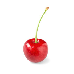 Sweet cherry. One ripe cherry on a white background. Soft focus