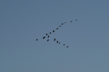 Atardecer en la Albufera de Valencia