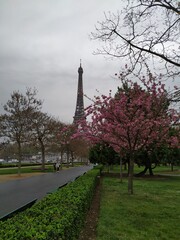 Vue sur la Tour Eiffel , Trocadéro, Paris