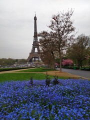 Vue sur la Tour Eiffel , Trocadéro, Paris