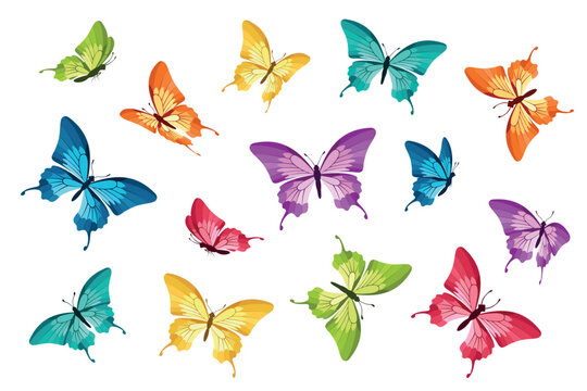 Butterflies. Flying colorful butterflies on white background. Isolated. Vector illustration