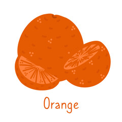 Orange isolated hand drawn illustration on a white background. Simple poster and card