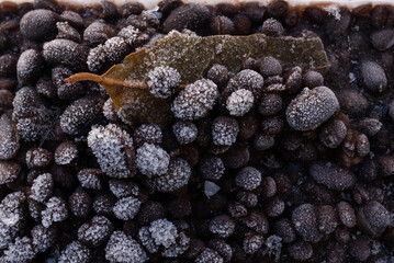 Ice flakes on frozen lentils