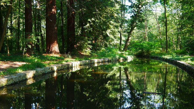 Chemin forestier longeant un magnifique ruisseau d'eau, avec jolie réflexion d'image de la surface sur l'eau, balade de santé et de bien-être, respect de la nature et dans l'ombre
