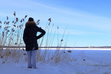 Person looking out over the great nature one snowy winter day. Old yellow reed from the frozen lake. Järfälla, Stockholm, Sweden.