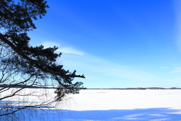 Fototapeta na wymiar Winter horizon landscape photo. Snow on the ground. Blue sky. Stockholm, Sweden.