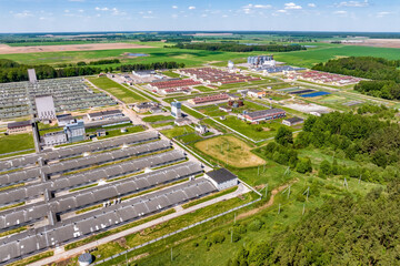 aerial panoramic view over livestock farm and agro-industrial complex with silos and rows of barns, pigsties, chicken coops © hiv360