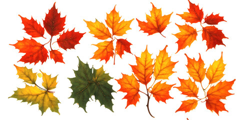 Obraz premium Set of autumn leaves on a light background.