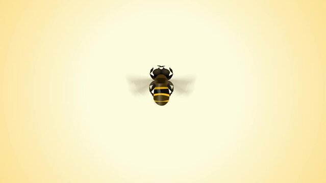 honey bee background and 2d animation, bug insect, animal