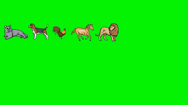 all animals background Sketch and 2d animated, all animals, cat, dog, horse, lion, tiger, fox, camel, cow, giraffe, zebra, barasingha, panda, wolf, elephant, pig, monkey, rabbit, sheep, green screen