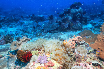 texture ocean floor background underwater surface