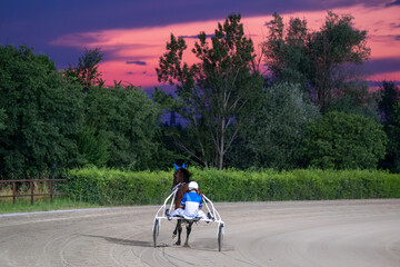 Obraz premium Trotting racehorses and rider on a stadium track. Competitions for trotting horse racing. Horses compete in harness racing. Horse running on the track with the rider at sunset. 