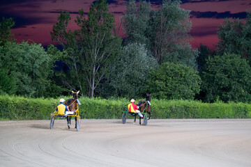 Obraz premium Trotting racehorses and rider on a stadium track. Competitions for trotting horse racing. Horses compete in harness racing. Horse running on the track with the rider at sunset. 