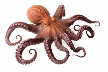 Octopus carrying a shell on its back created with generative ai technology
