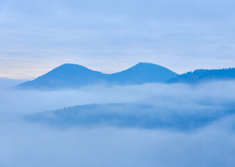 fog landscape forest mountains, trees view mist