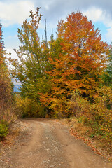 Colorful autumn landscape scene with fence in Transylvania mountain