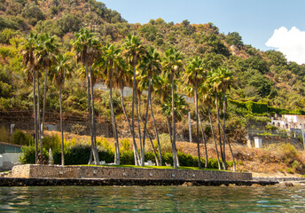 Palme sull'isola delle Sirene a Taormina