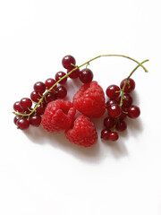 raspberries and bunches of red currants on a white background