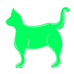cat cat