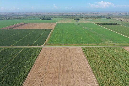 Aerial image of planted fields in Homestead, Florida agricultural area near Everglades National Park on clear sunny morning.