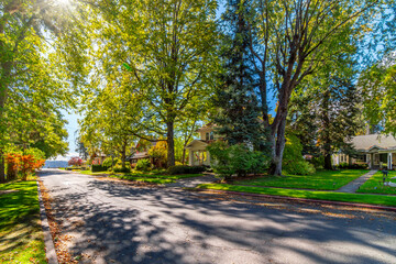 Fototapeta na wymiar A shaded tree lined street of Victorian and historic homes across from the city park with the lake in view in historic Fort Grounds district of Coeur d'Alene, Idaho, USA. 