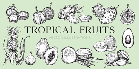 Tropical fruits illustrations, fruits drawings, coconut, collection, set, pineapple, avocado