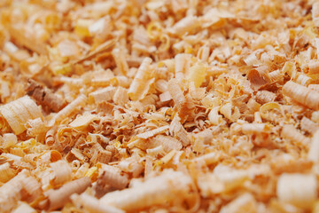 sawdust and shavings. material for agriculture. mulch 
