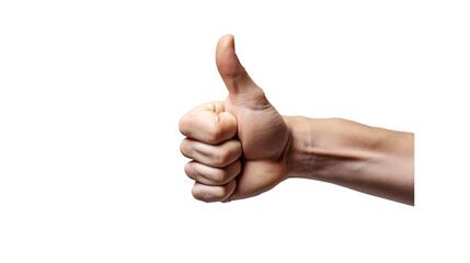 highly detailed hand showing thumbs up on a transparent background