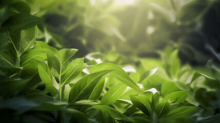 Fototapeta premium close up of leaves,Generative AI