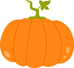 Ripe Pumpkin Vegetable