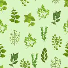 Seamless Pattern with Culinary Herbs Basil, Thyme, Rosemary, Parsley, And Oregano, Mint, Cilantro, Sage, Marjoram